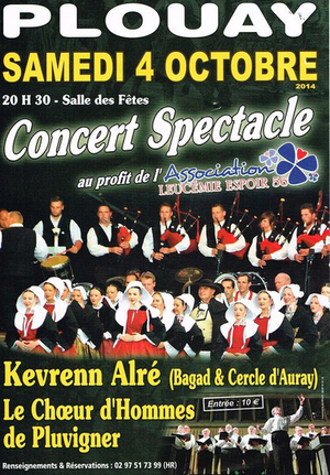 Concert à Plouay